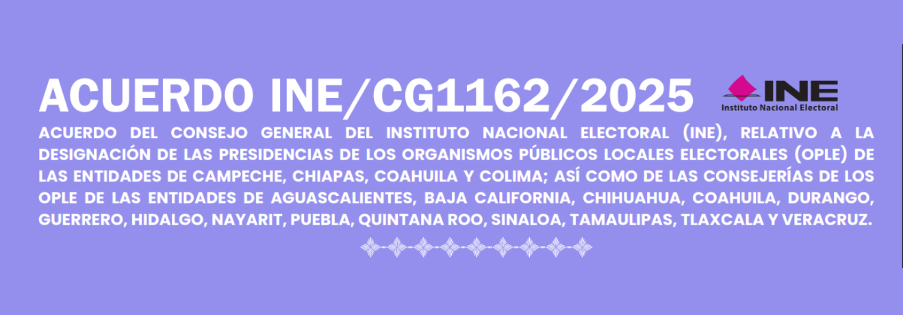 imgAcuerdo_INE_CG1162_2025